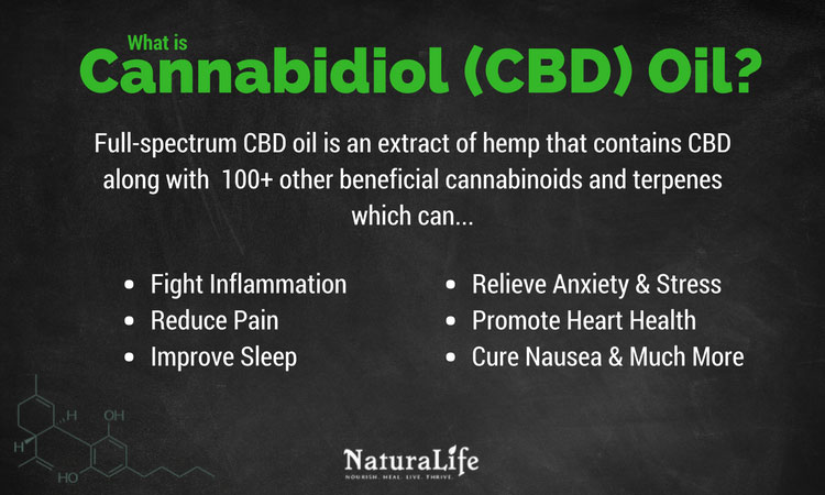 Omega 3 And Omega 6 - How Important Are They For Health And Well-Being?