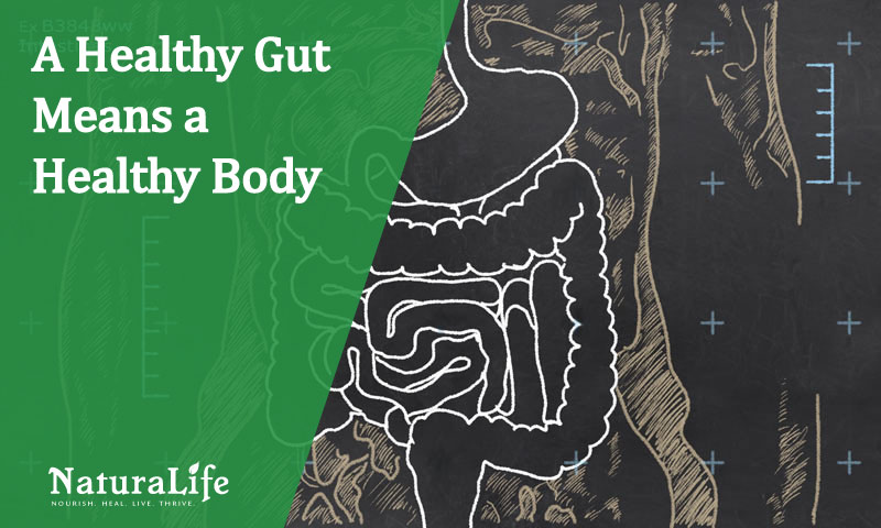 how to naturally heal your gut