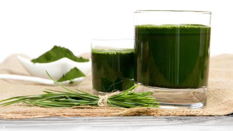the best organic superfood green juice product review