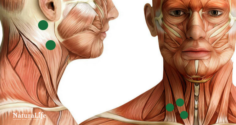 sternocleidomastoid trigger point diagram