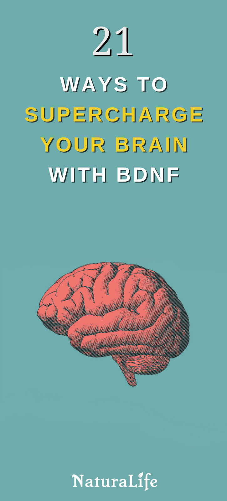 21 Ways to Increase BDNF for a Supercharged Brain